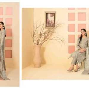 Embroidered Lawn Banarsi Collection https://dailyshopping.shop/product-category/women/