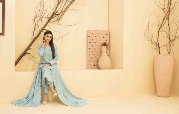 Embroidered Lawn Banarsi Collection https://dailyshopping.shop/product-category/women/